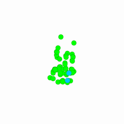 Export Image